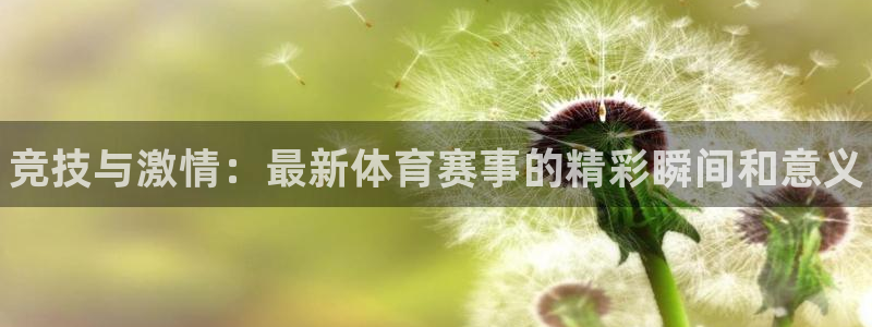 MK体育官网下载招商电话号码查询：竞技与激情：最新体