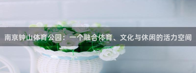 MK体育官网下载招商电话是多少号码：南京钟山体育公园