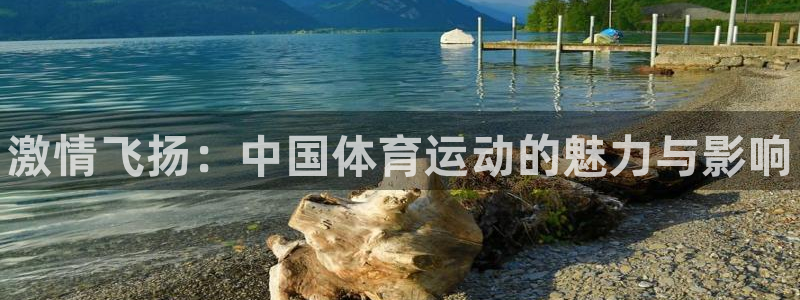 MK体育官方平台体育：激情飞扬：中国体育运动的魅力与