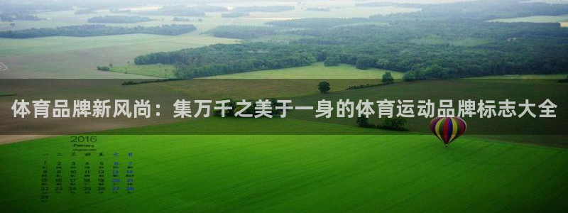 MK体育官方正版app神州：体育品牌新风尚：集万千之美于一身