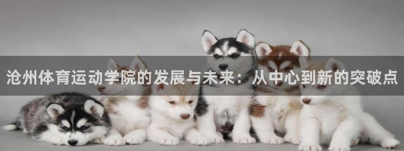MK体育官方正版app娱乐网站：沧州体育运动学院的发展与未来