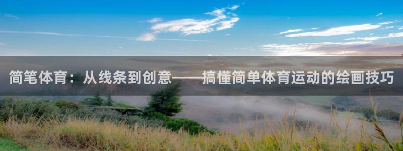 MK体育官方正版app代理：简笔体育：从线条到创意——搞懂简