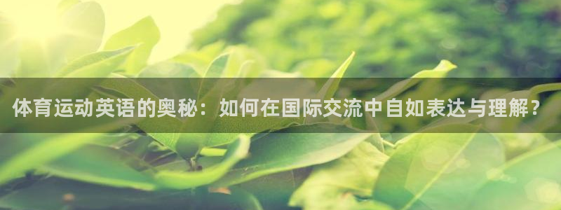 MK体育官网下载招商：体育运动英语的奥秘：如何在国际