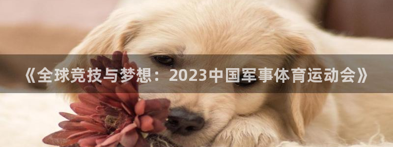 MK体育官网下载注册：《全球竞技与梦想：2023中国军事体育