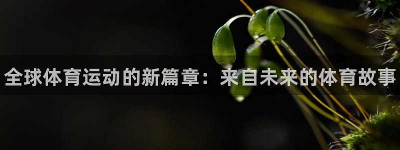 MK体育官网下载平台：全球体育运动的新篇章：来自未来