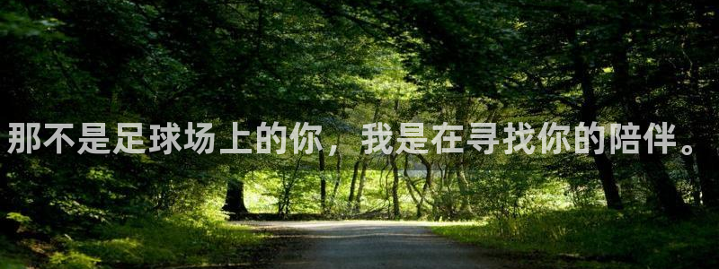海南MK体育官网下载：那不是足球场上的你，我是在寻找