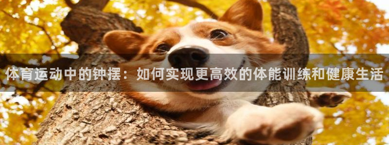 MK体育官方正版app科技：体育运动中的钟摆：如何实