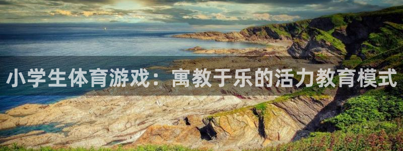 MK体育官方平台体育：小学生体育游戏：寓教于乐的活力教育模式