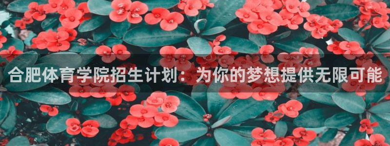 MK体育官网下载开户：合肥体育学院招生计划：为你的梦