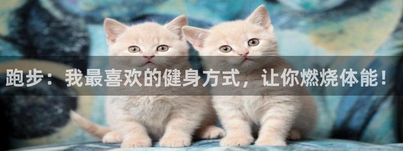 MK体育官网下载招商电话号码查询：跑步：我最喜欢的健身方式，