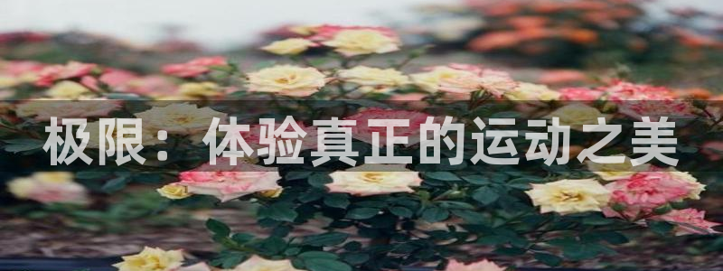 MK体育官方集团官网：极限：体验真正的运动之美