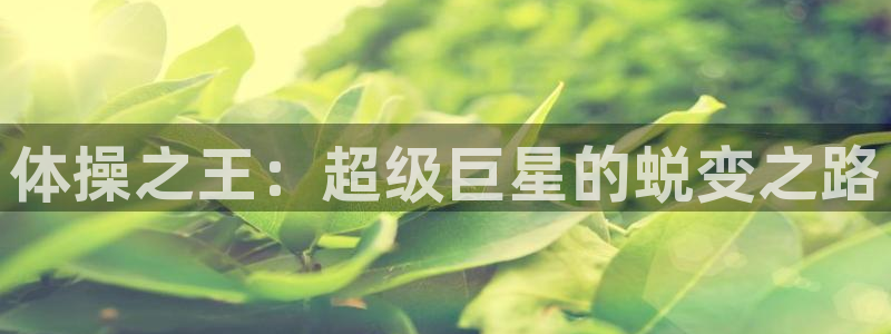 MK体育官方正版app娱乐网站：体操之王：超级巨星的