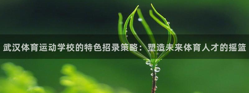MK体育官方正版app娱乐40996：武汉体育运动学