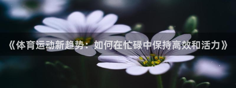 MK体育官方正版app官方：《体育运动新趋势：如何在