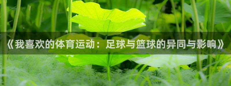 MK体育官方正版app集团logo：《我喜欢的体育运