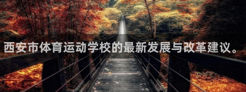 MK体育官方正版app集团官网首页：西安市体育运动学