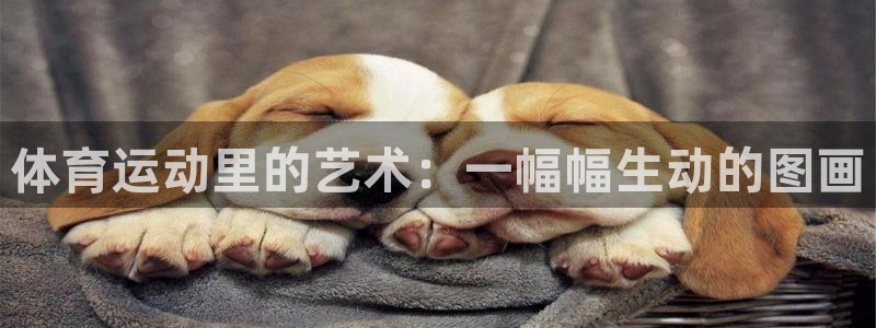 MK体育官网下载平台注册流程视频：体育运动里的艺术：一幅幅生