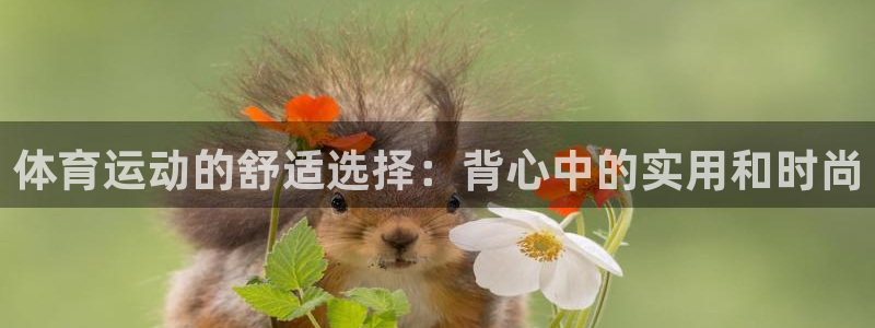 MK体育官网下载招商电话地址是多少：体育运动的舒适选